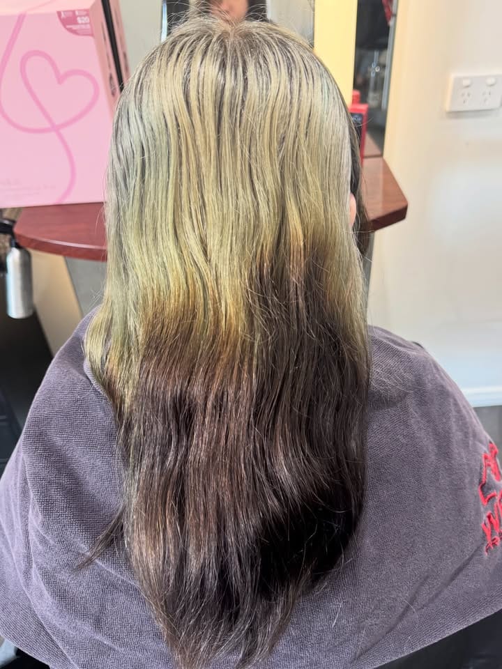 La Mode Hair and Beauty Hair Salon & Beauty Clinic, Gympie QLD Blue Velvet: from blonde bands to inky midnight Before Blue Velvet — banded blonde with khaki mid-lengths and darker ends, at La Mode Gympie